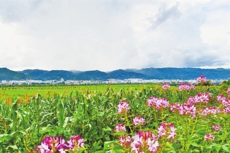 云南保山昌宁：山水田园一幅画