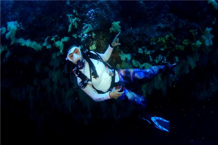“潜水”邂逅旅交会