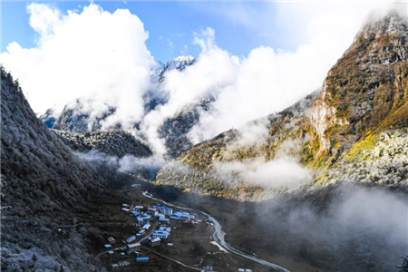 美丽玉麦 风景如画 