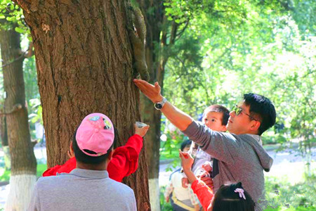松鼠成云南大学又一景 学生专门为其开设微博