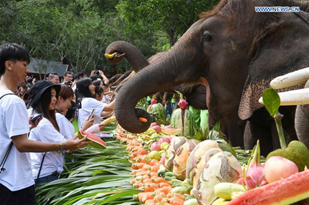 西双版纳举办“世界大象日”活动