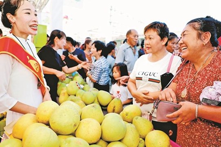 景洪市举办首届柚文化节