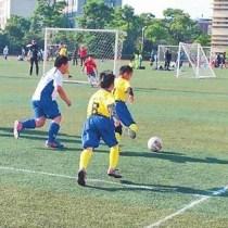 云南省青少年足球邀请赛举行 近40支球队参赛
