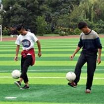 云南师范大学商学院成立足球学院