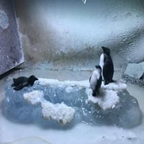 走近云南玉雕师的创作世界 揭秘创意雕刻如何出炉