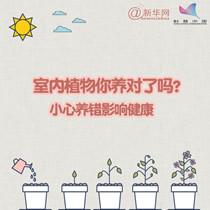 室内植物你养对了吗？小心养错影响健康