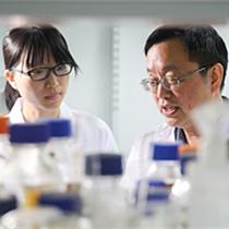 人造单条染色体真核细胞问世 我国开启合成生物学研究新时代