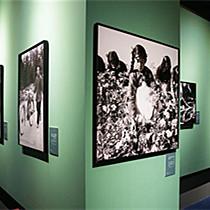 “国家相册 致敬历史——新华社中国照片档案馆典藏展”在首都博物馆开展
