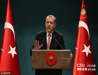 土耳其总统埃尔多安宣布全国进入3个月紧急状态