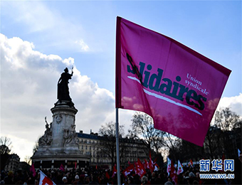 法国多个城市爆发反暴力执法游行