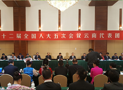 【云南团开放日】云南代表团全体会议向中外媒体开放