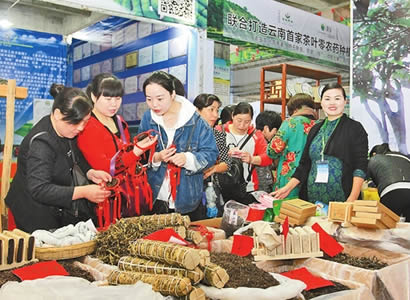 普洱茶产品交易博览会举办