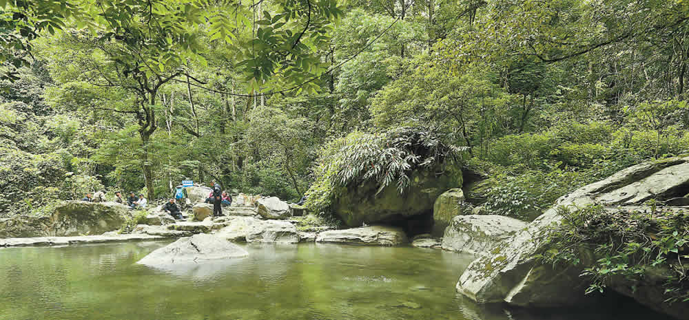高黎贡山：感受热带雨林