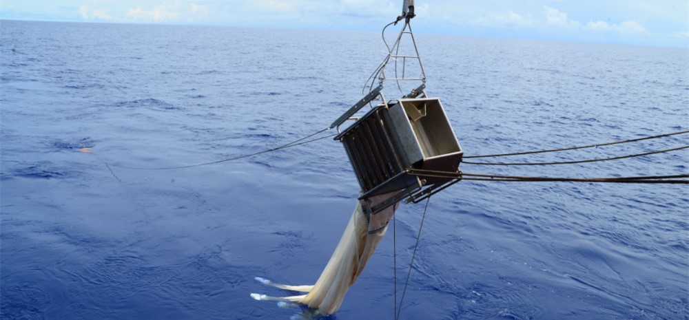 “科学”号在西太平洋卡罗琳海山开展水体与生态调查