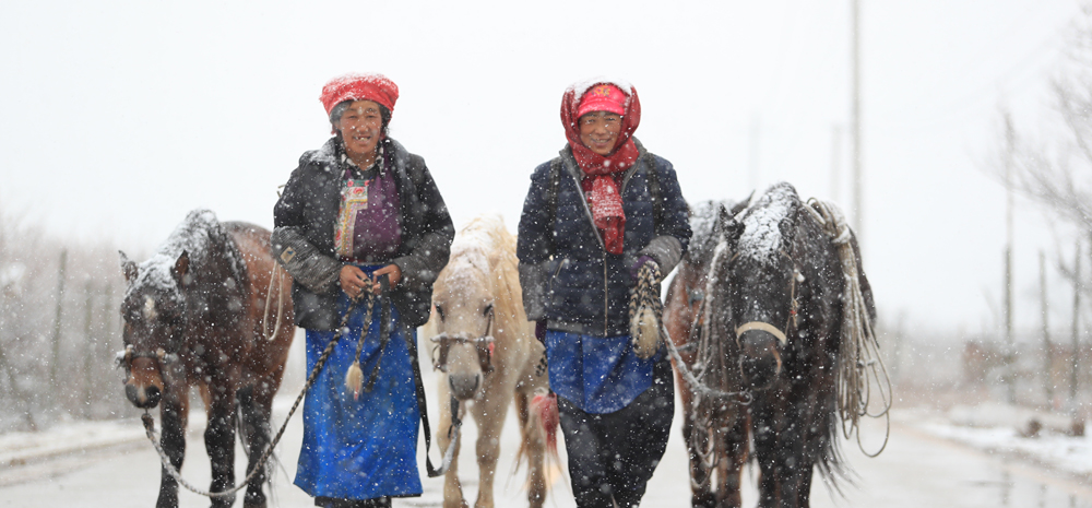 迪庆州迎来入冬第一场较强降雨雪