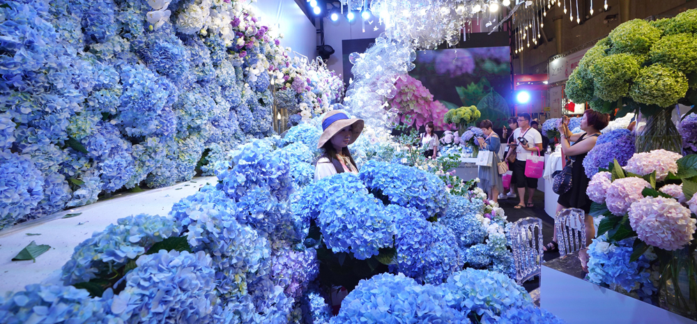第二十届中国昆明国际花卉展在昆开幕 展现“云花”新精彩