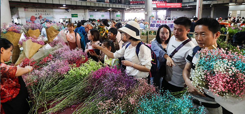 暑期催热昆明斗南花市购花游