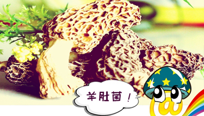 大假每天一问聊云南，你答对了吗？