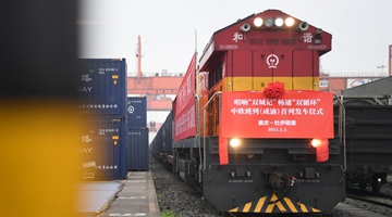 China-Europe freight trains support economic lifeline amid pandemic