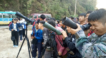 Zeng Xiangle: Bird-watching guide with business mind