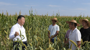 Quotable Quotes: Xi Jinping on agriculture, rural areas, farmers