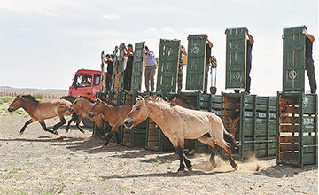 White paper highlights biodiversity experience