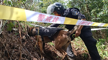 Sniffer dog performs great in his work