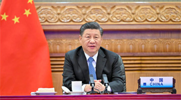 Xi urges concrete actions to address climate change, energy issues