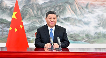 Xi pledges more openness as China fulfills WTO commitments