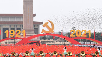 Xi's explanation on CPC landmark resolution released