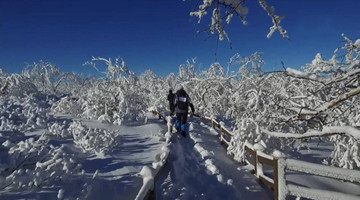 Snow decorates forest park in NE China