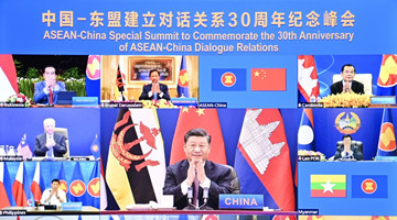 China, ASEAN form comprehensive strategic partnership as Xi chairs summit