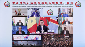 Xi announces supplying Africa with additional 1 bln COVID-19 vaccine doses, pled