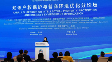 China makes progress in int'l IPR cooperation: official