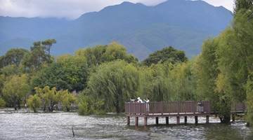 Foreigners' short videos capture beauty of rural China