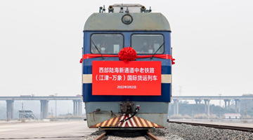 Chongqing adds station for China-Laos international freight train service