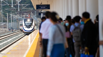 China-Laos Railway sees brisk passenger, cargo transport over inaugural 4 months