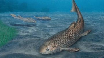 390 million-year-old lungfish fossils found in Yunnan