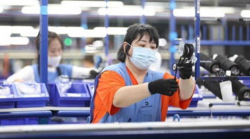 Foreign firms' recovery in focus