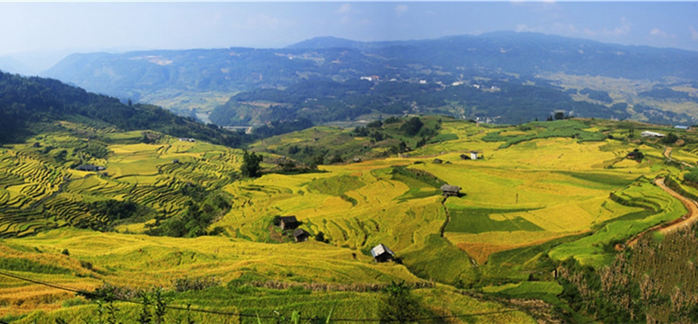 ၀ူဟယ္အလွ႐ႈခင္းေရာင္စံုေလွကားထစ္စိုက္ခင္း