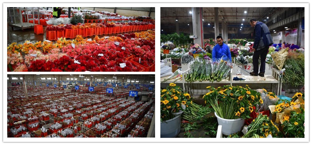 ตลาดการค้าดอกไม้สดเมืองคุนหมิงก่อนตรุษจีน