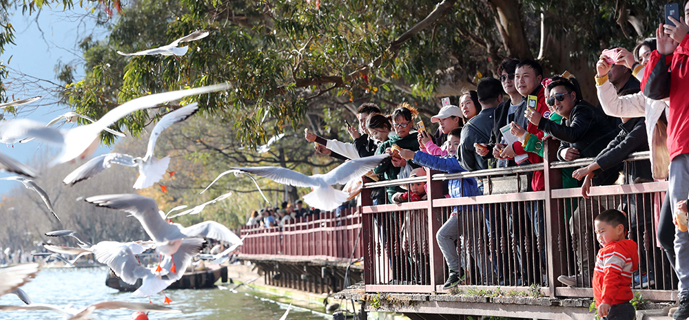 สวนสาธารณะไหเกิ่ง เมืองคุนหมิง เต็มไปด้วยบรรดานักท่องเที่ยว
