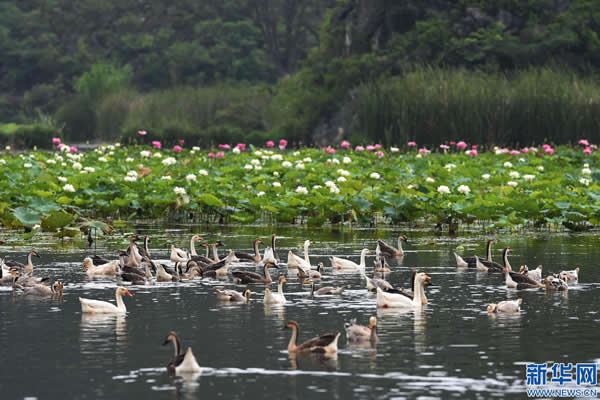 หมู่บ้านตามริมน้ำสวยงามเหมือนภาพ