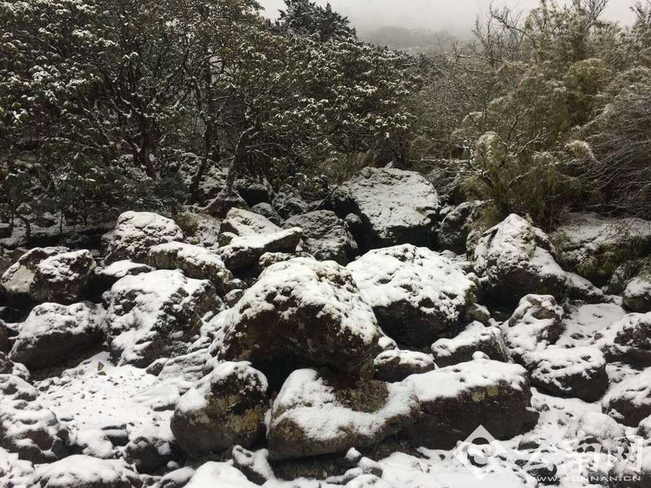 ปี 2016ภูเขาหิมะเจี้ยวจื่อเมืองคุนหมิงเริ่มมีหิมะตกแล้ว