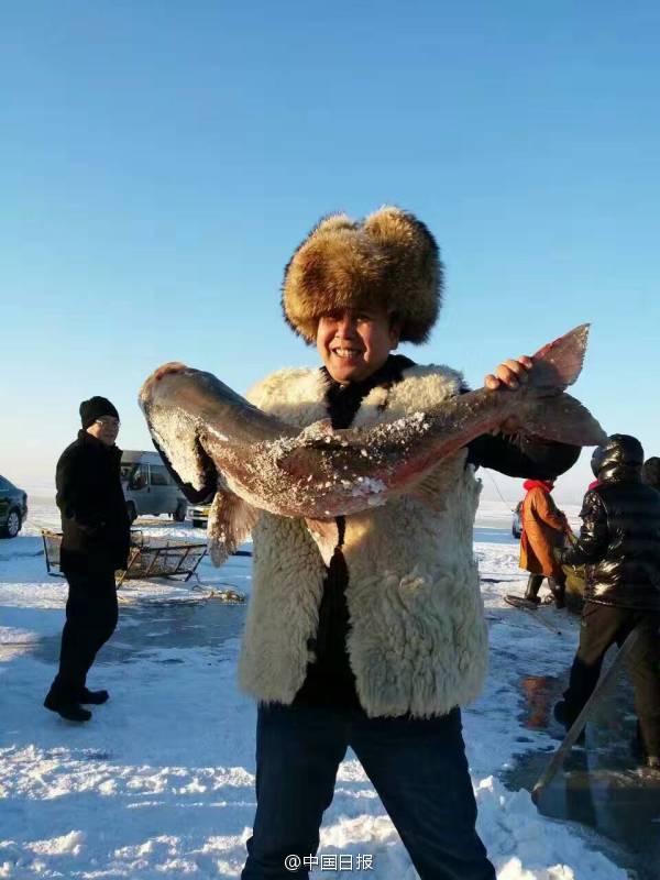 เริ่มฤดูกาลจับปลาใต้น้ำแข็งที่ทะเลสาบฉากันของมณฑลจี๋หลิน ครั้งแรกจับได้ปลาเกือบ 20,000 กิโลกรัม