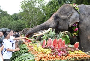 สิบสองปันนาจัดกิจกรรมวันช้างโลก