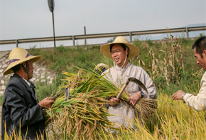 นายจู โหย่วหย่ง “เกษตรกรนักวิชาการ” ใช้เทคโนโลยีในการเพาะปลูกช่วยต่อสู้กับภาวะความยากจน