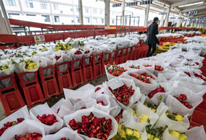 ตลาดดอกไม้โตว่หนานกลับมาเปิดประมูลและซื้อขายดอกไม้อีกครั้ง