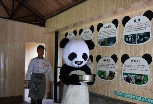 ยูนนานโชว์ห้องครัวหมีแพนด้า ไปดูกันว่าหมีแพนด้ากินอะไรบ้าง 