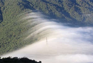 เมฆหมอกปกคลุมทั่วเขตอนุรักษ์ธรรมชาติแห่งชาติเฟินสุ่ยหลิ่ง (สันปันน้ำ) 